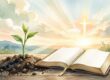 Born Again Meaning: A Biblical Guide to New Life